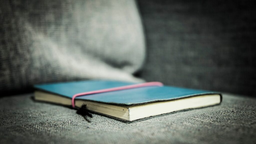 le cahier de discipline - Audio BDSM