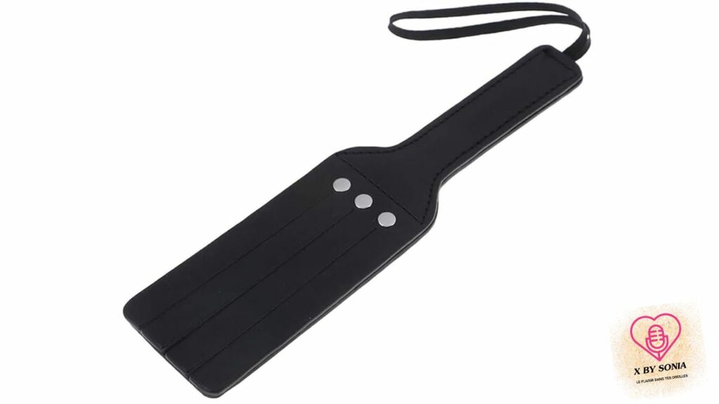 cravache bdsm