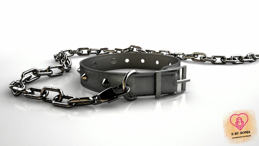 Audio porn bdsm Sous ma laisse